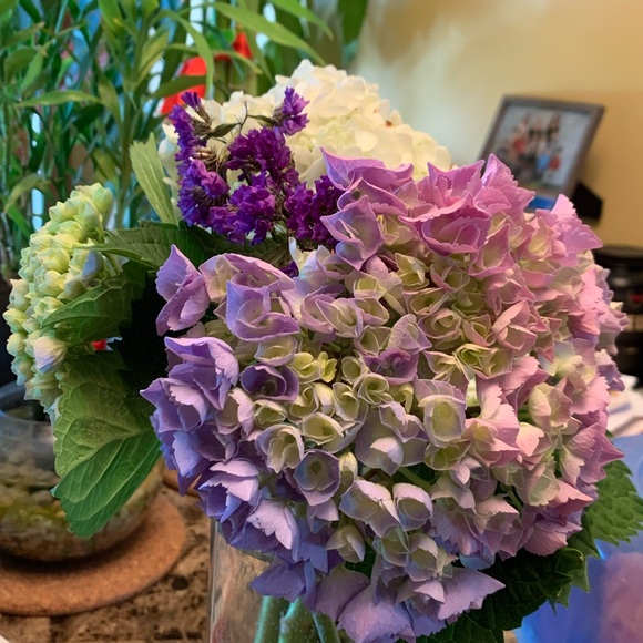 Meet your Posher, Olivia - Picture 1 of 1